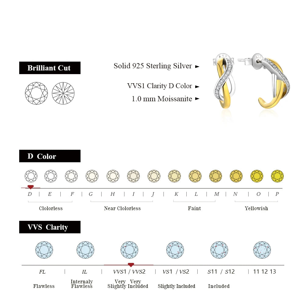 925 Sterling Silver Special Moissanite Earring